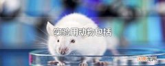 实验用动物包括