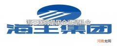 海王医药是国企还是私企