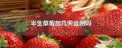 半生草莓放几天会熟吗