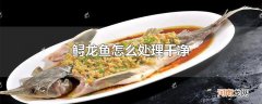 鲟龙鱼怎么处理干净