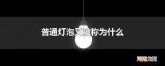 普通灯泡又被称为什么