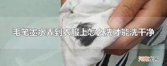 毛笔墨水弄到衣服上怎么洗才能洗干净