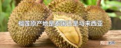 榴莲原产地是泰国还是马来西亚