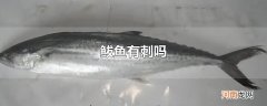鲅鱼有刺吗