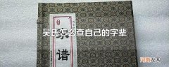 吴氏怎么查自己的字辈
