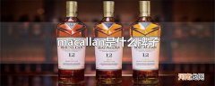 macallan是什么牌子