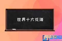 世界十大花海 花海名字？