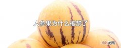 人参果为什么被禁了