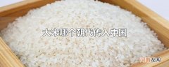 大米哪个朝代传入中国