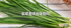 韭菜是感光食物吗