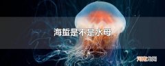海蜇是不是水母