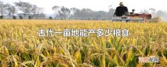 古代一亩地能产多少粮食