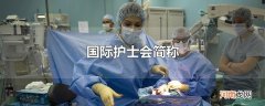 国际护士会简称