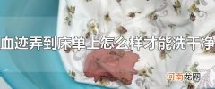 血迹弄到床单上怎么样才能洗干净 柠檬汁水和盐轻松去除血迹