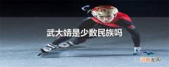 武大靖是少数民族吗