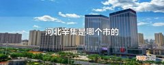 河北辛集是哪个市的