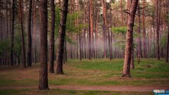 全运会概况 全运会几年举办一次