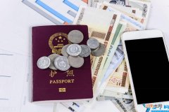 护照内容明细 护照法规定的护照类型不包括什么护照