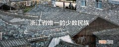 浙江省唯一的少数民族