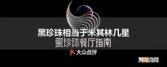 黑珍珠相当于米其林几星