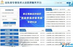 职称申报系统流程 山东专业技术人员信息管理平台