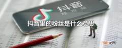 抖音里的粉丝是什么意思