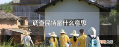 调查民情是什么意思
