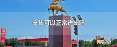 辛集可以正常进出吗