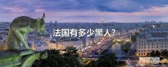 法国有多少黑人?