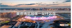 奥体博览城像一朵什么花
