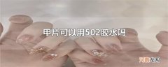 甲片可以用502胶水吗