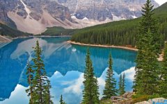 用“拔”字组词