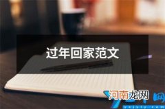 作文 过年回家范文 回家过年