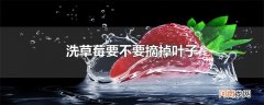 洗草莓要不要摘掉叶子