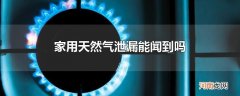家用天然气泄漏能闻到吗