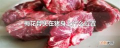 梅花骨头在猪身上什么位置
