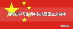 如何在学习生活中弘扬爱国主义精神
