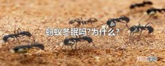 蚂蚁冬眠吗?为什么?