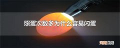 照蛋次数多为什么容易闪蛋