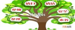 什么是6s