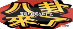 豆瓣八组现在叫什么