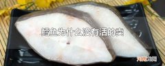 鳕鱼为什么没有活的卖