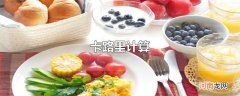 卡路里计算