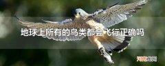 地球上所有的鸟类都会飞行正确吗