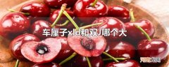 车厘子xld和双J哪个大