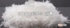 自己拔的鹅绒怎么消毒