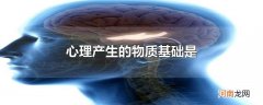 心理产生的物质基础是
