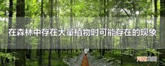 在森林中存在大量植物时可能存在的现象