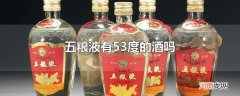 五粮液有53度的酒吗