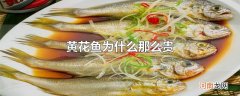 黄花鱼为什么那么贵